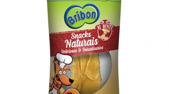 dente cachorro cão cães snack roer