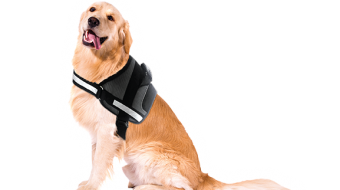 peitoral para cão doggy grande médio pequeno passeios