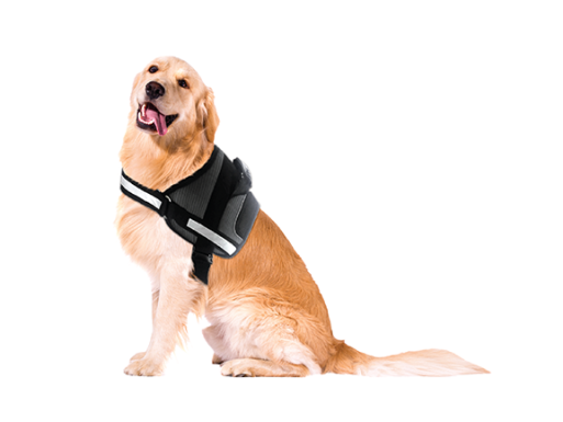 peitoral para cão doggy grande médio pequeno passeios