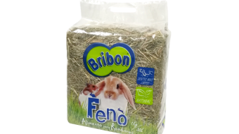 feno coelho roedores chinchila ratos hamster chinchilas natural dentes bribon coelhos