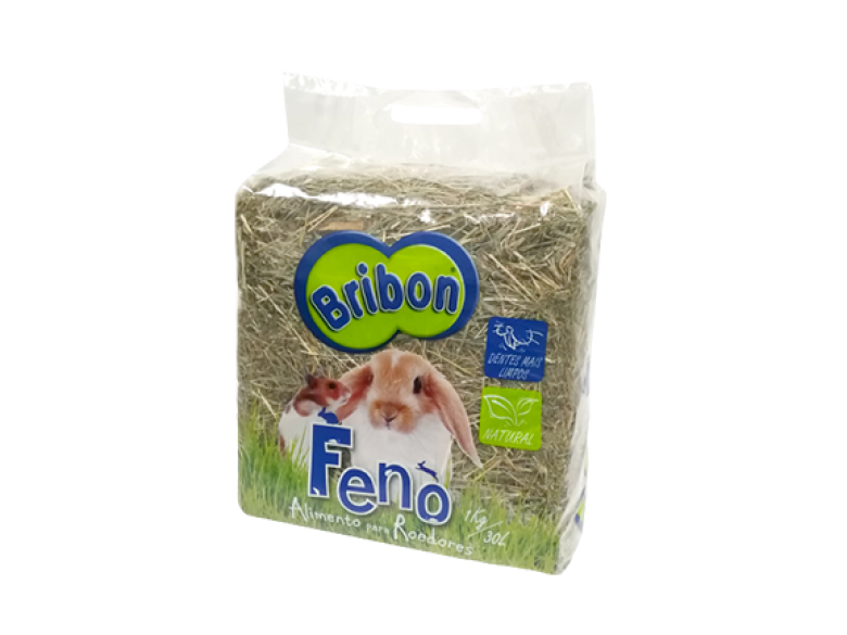 feno coelho roedores chinchila ratos hamster chinchilas natural dentes bribon coelhos