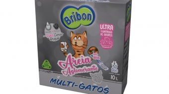 gatos gatinhos gato areia wc casa toilette