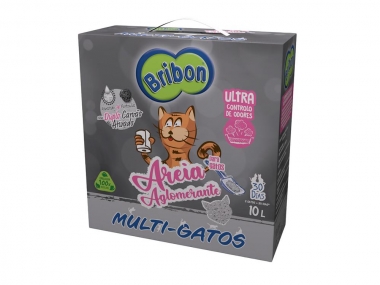gatos gatinhos gato areia wc casa toilette